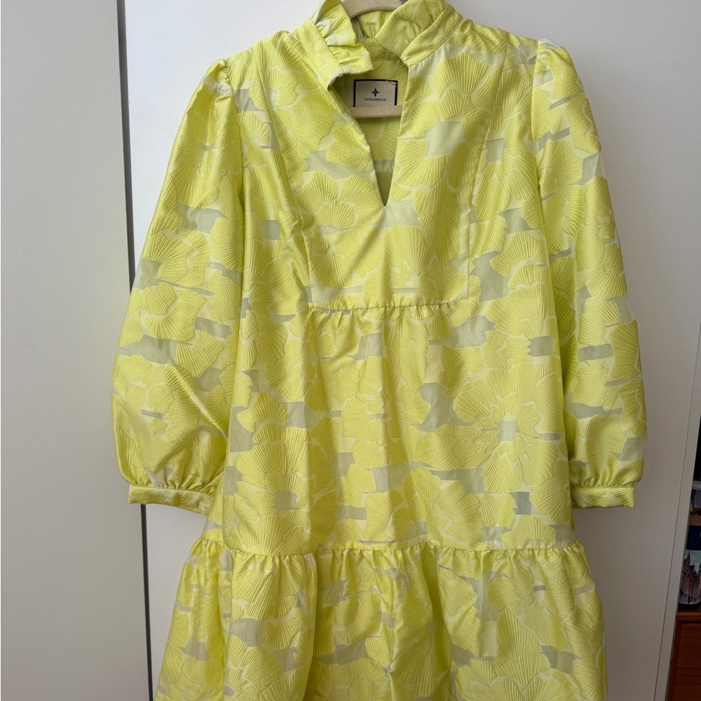 Tuckernuck Citron Fil Coupe Palmerston Dress.
